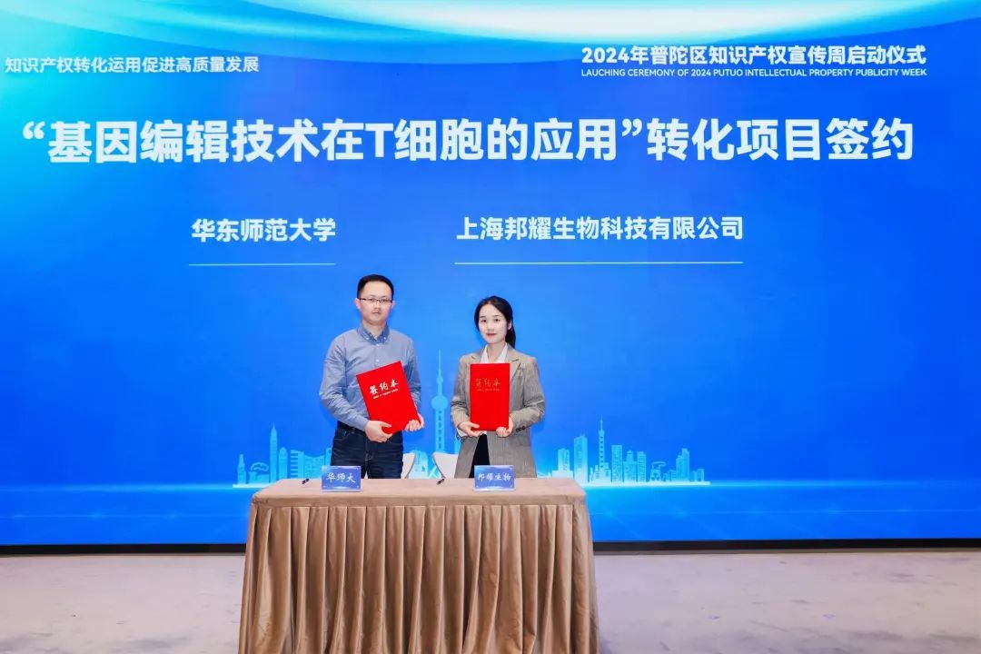 普陀区精准聚焦盘活高校专利促进知识产权转化为新质生产力(图2)