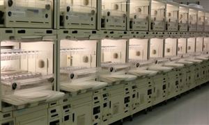 中国安全科技发明专利总量全球第一2023知识产权代理行业分析(图3)