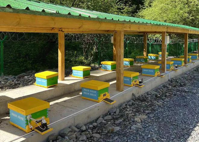 十年·观察丨开出“质量处方”领跑(图4)