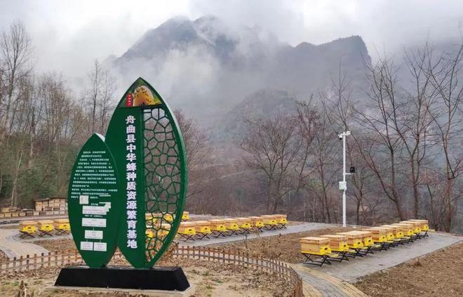 十年·观察丨开出“质量处方”领跑(图5)