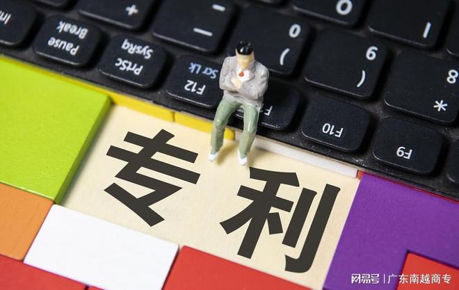 有专利申请号怎么查专利审查？