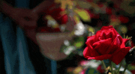 头屑多？头发油？澳洲Pote植酵舒缓专利控油去屑洗发水系列爆卖10w+！(图12)