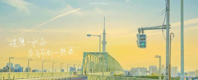 拼多多乱价产品控价的办法有哪些(图2)
