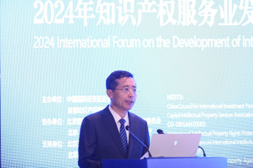 2024知识产权服务业发展国际大会成功举办(图2)