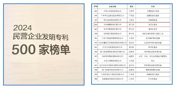 喜报！和也入选2024民营企业发明专利500家榜单