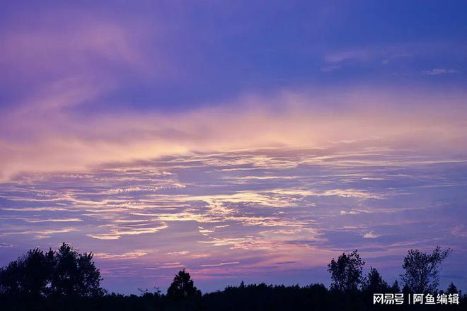 什么是专利侵权及其赔偿标准？