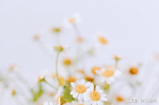 什么是专利申请？