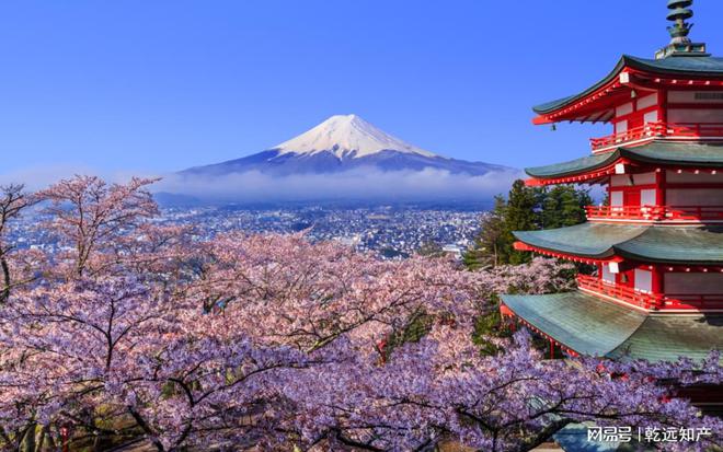 全球商标制度系列：2024日本商标制度简介