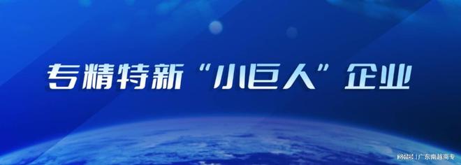 专精特新“小巨人”申报注意事项解读（一）