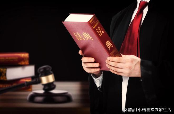 北京地区的十大知名律师事务所及其独特特点(图2)