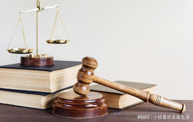 北京十大律师事务所所在地TOP排行榜单