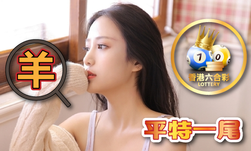 13297соm查询4949V