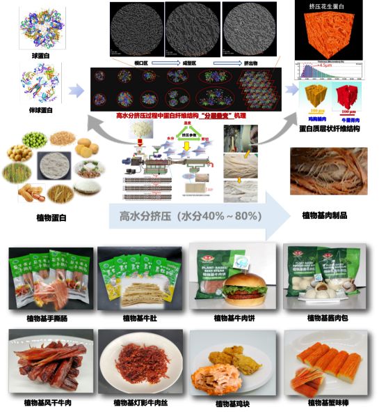 我国77项发明斩获日内瓦国际发明展金奖食品领域植物基肉制品关键技术创新成果位列其中(图4)