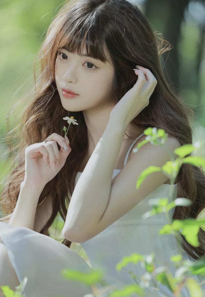 大象回家dxdztop(图1)