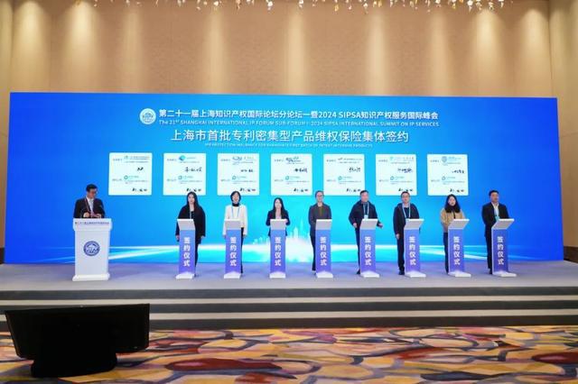 知识产权服务点亮新质生产力之光！第二十一届上海知识产权国际论坛分论坛一暨2024年SIPSA服务国际峰会举行(图4)