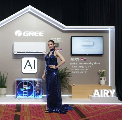 揭秘格力东南亚十年逆袭背后：从OEM代工到高端出海的华丽转身！(图4)