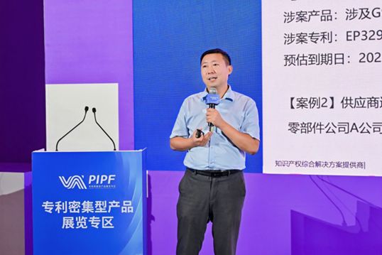 全景回顾杭州华进亮相数贸会：以专业之力护航企业出海征程(图3)