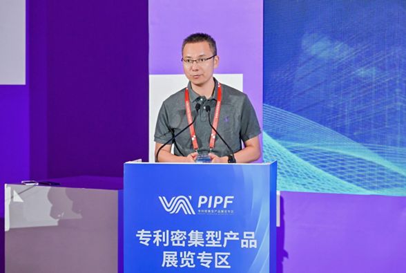 全景回顾杭州华进亮相数贸会：以专业之力护航企业出海征程(图2)