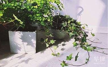 专利申请可以代理吗多少钱