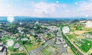 知识产权代理业务分布情况2022知识产权代理行业发展前景规划分析(图4)