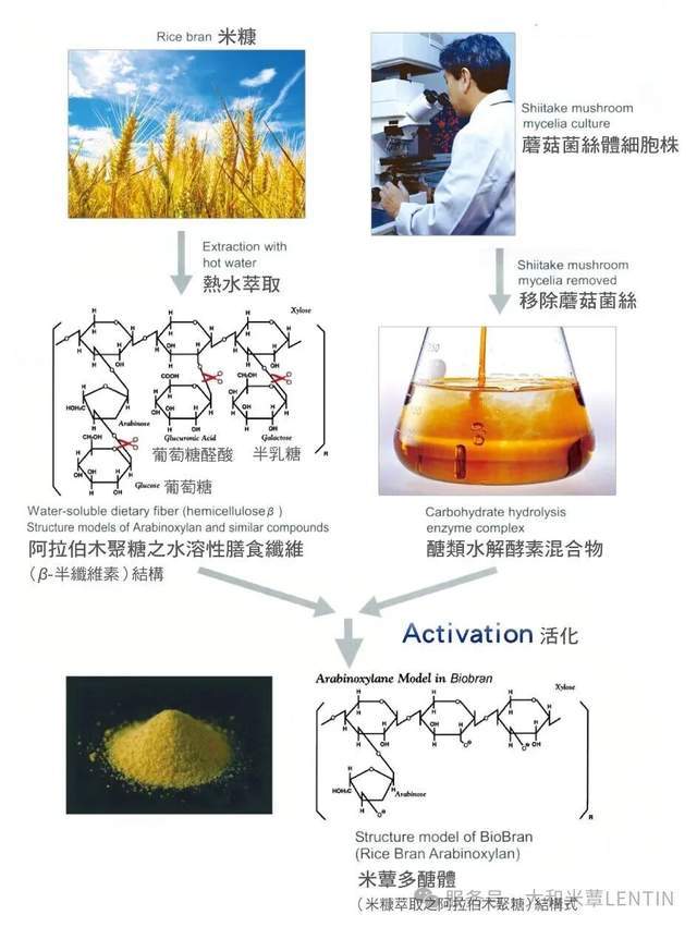 揭开JHFA认证下大和米蕈的神秘面纱(图2)