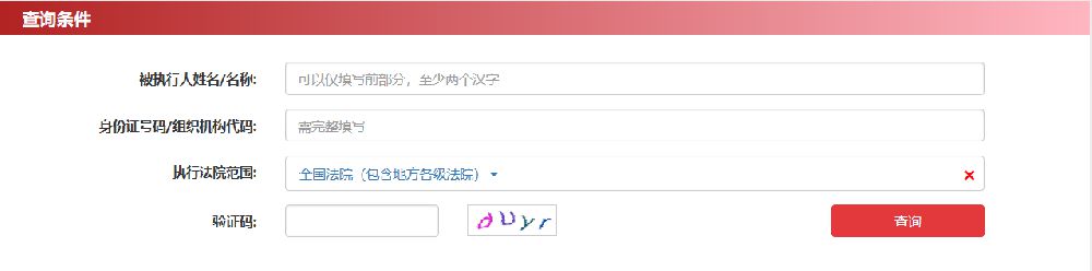中国执行信息公开网查询系统(图2)